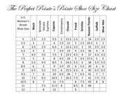 Chacott-Veronese II - Pointe Shoe - Final Sale